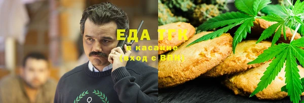 индика Иннополис