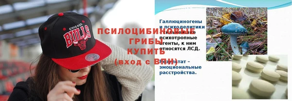 индика Иннополис