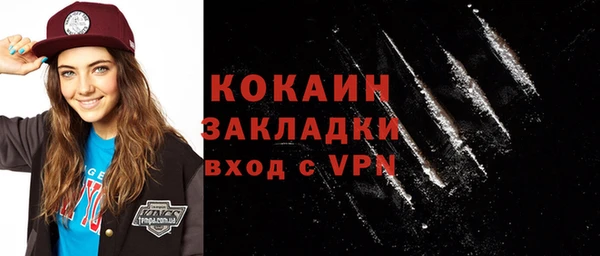 индика Иннополис