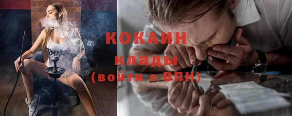 индика Иннополис