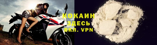 дмт Инсар