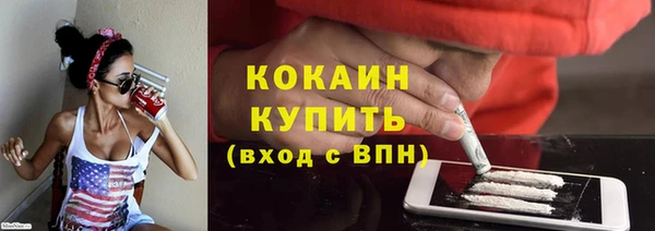 дмт Инсар