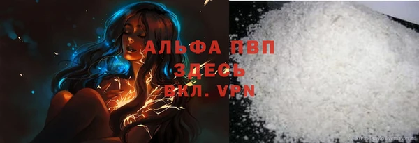 индика Иннополис