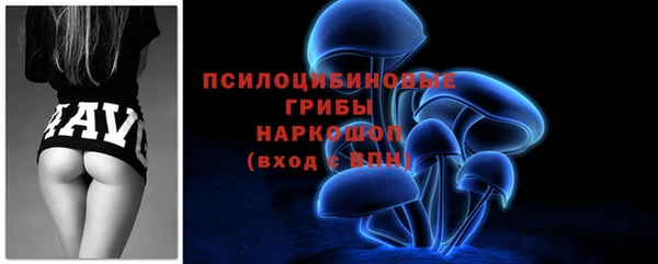 дмт Инсар