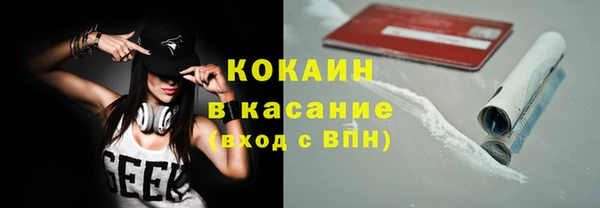 индика Иннополис