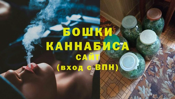 индика Иннополис