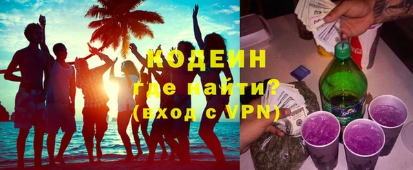 индика Иннополис