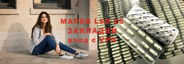 индика Иннополис