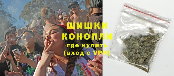 дмт Инсар
