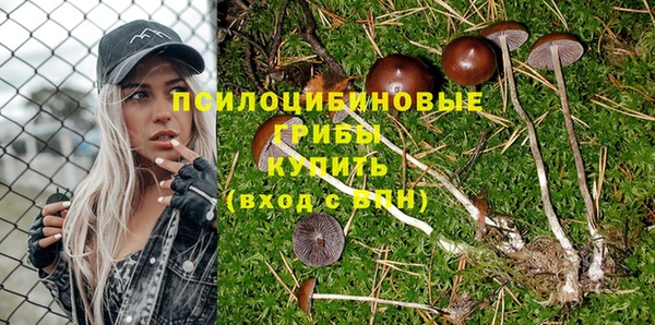 индика Иннополис