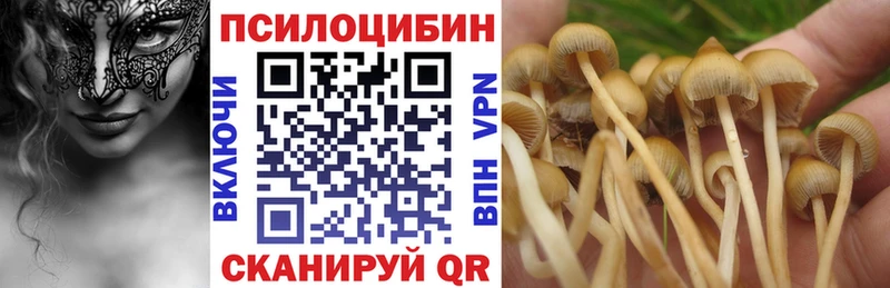 Купить  Гремячинск  Галлюциногенные грибы Psilocybine cubensis 